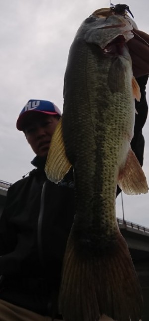 hideup 久次米良信 ブログ写真 2018/05/11