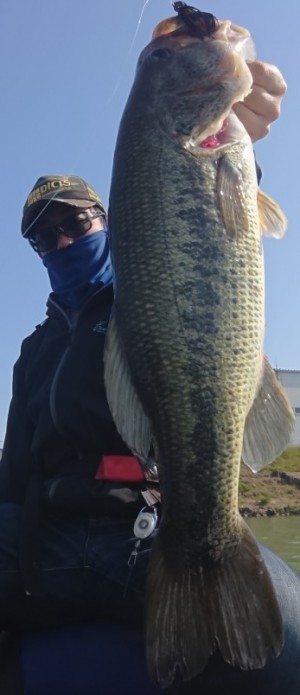 hideup 久次米良信 ブログ写真 2018/05/11