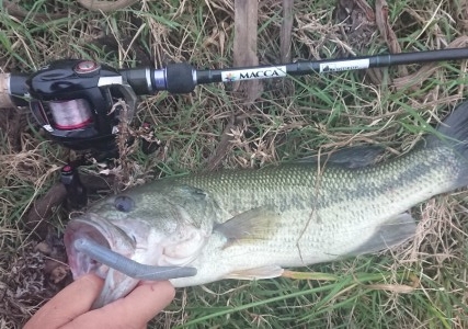 hideup 久次米良信 ブログ写真 2018/05/18