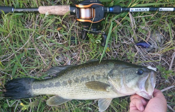 hideup 久次米良信 ブログ写真 2018/05/22