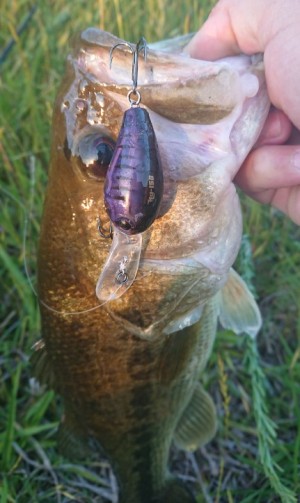 hideup 久次米良信 ブログ写真 2018/05/22