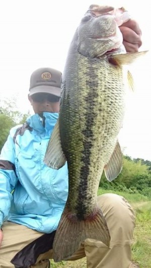 hideup 久次米良信 ブログ写真 2018/06/02