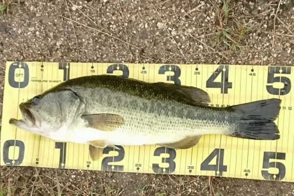 hideup 久次米良信 ブログ写真 2018/06/02