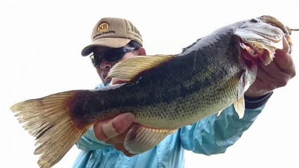 hideup 久次米良信 ブログ写真 2018/06/02