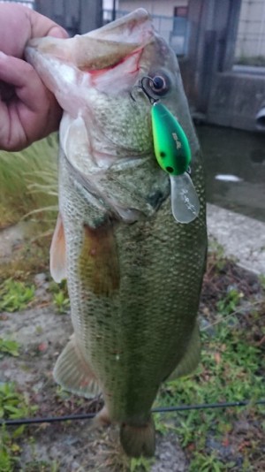 hideup 久次米良信 ブログ写真 2018/06/06