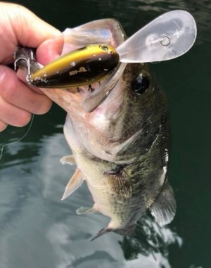 hideup 久次米良信 ブログ写真 2018/06/07