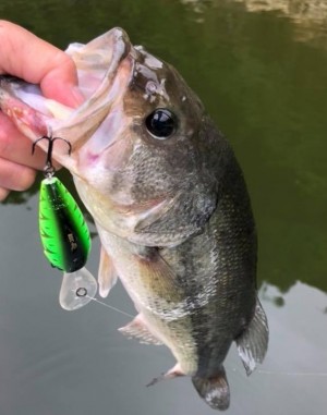 hideup 久次米良信 ブログ写真 2018/06/07