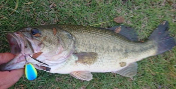 hideup 久次米良信 ブログ写真 2018/06/09