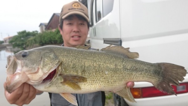 hideup 久次米良信 ブログ写真 2018/06/15