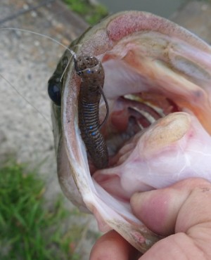 hideup 久次米良信 ブログ写真 2018/06/15