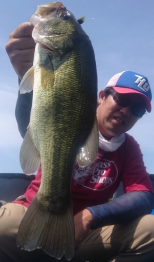 hideup 久次米良信 ブログ写真 2018/06/18