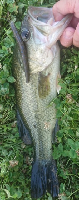 hideup 久次米良信 ブログ写真 2018/06/19