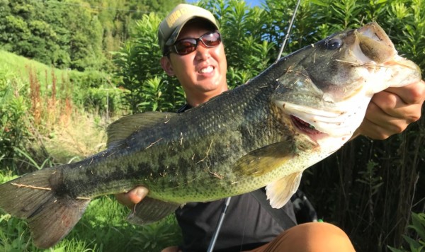 hideup 久次米良信 ブログ写真 2018/07/03