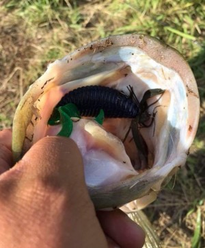 hideup 久次米良信 ブログ写真 2018/07/03