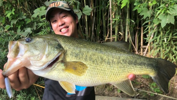 hideup 久次米良信 ブログ写真 2018/07/05