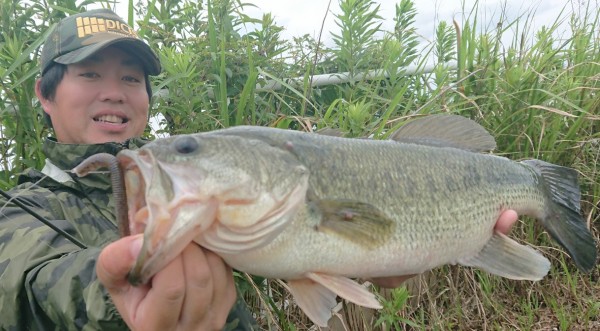 hideup 久次米良信 ブログ写真 2018/07/09