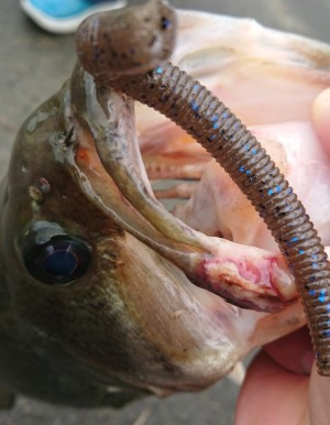 hideup 久次米良信 ブログ写真 2018/07/09