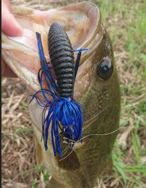 hideup 久次米良信 ブログ写真 2018/07/10