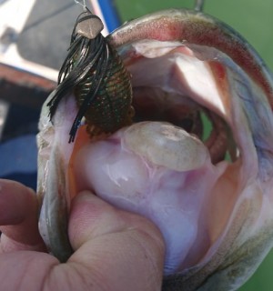 hideup 久次米良信 ブログ写真 2018/07/11