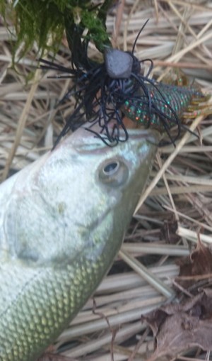 hideup 久次米良信 ブログ写真 2018/07/13