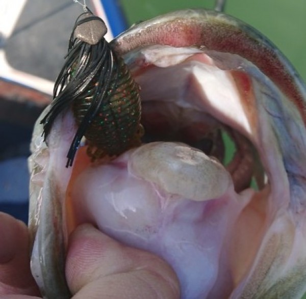 hideup 久次米良信 ブログ写真 2018/07/14