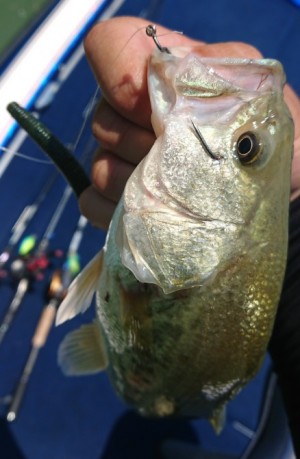 hideup 久次米良信 ブログ写真 2018/07/15