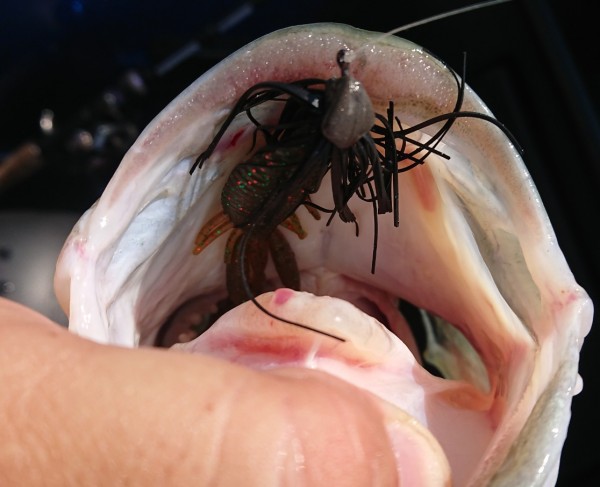 hideup 久次米良信 ブログ写真 2018/07/15