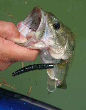 hideup 久次米良信 ブログ写真 2018/07/15