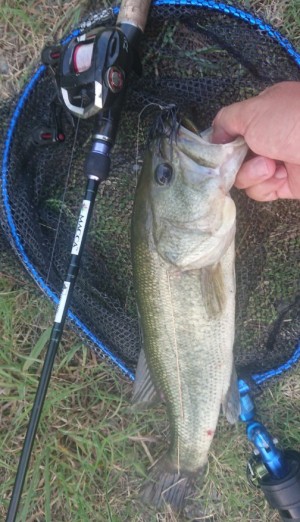 hideup 久次米良信 ブログ写真 2018/07/18