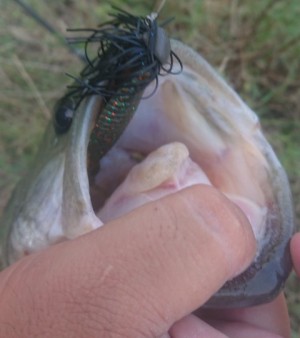 hideup 久次米良信 ブログ写真 2018/07/18