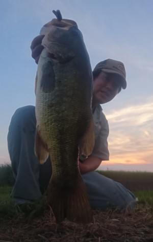 hideup 久次米良信 ブログ写真 2018/07/20