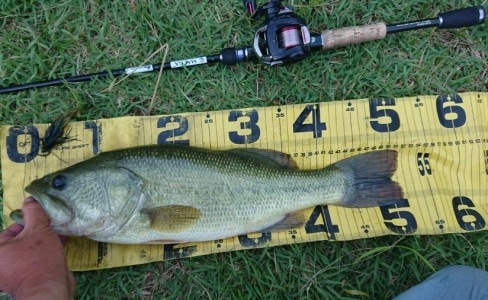 hideup 久次米良信 ブログ写真 2018/07/21