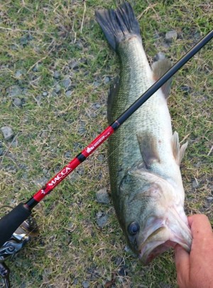 hideup 久次米良信 ブログ写真 2018/08/02