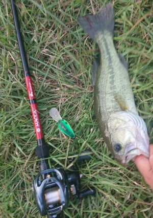 hideup 久次米良信 ブログ写真 2018/08/03