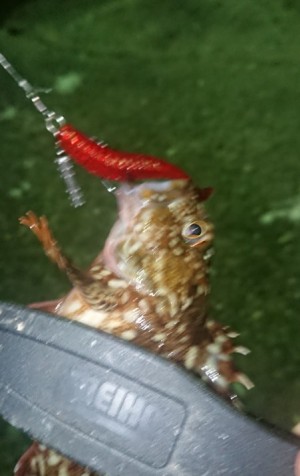 hideup 久次米良信 ブログ写真 2018/08/07