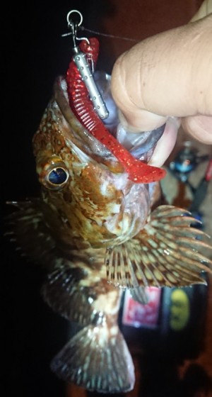 hideup 久次米良信 ブログ写真 2018/08/07