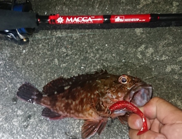 hideup 久次米良信 ブログ写真 2018/08/07