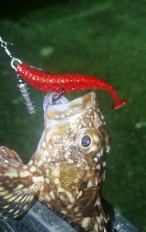 hideup 久次米良信 ブログ写真 2018/08/07