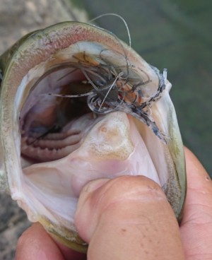 hideup 久次米良信 ブログ写真 2018/08/10