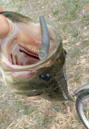 hideup 久次米良信 ブログ写真 2018/08/10