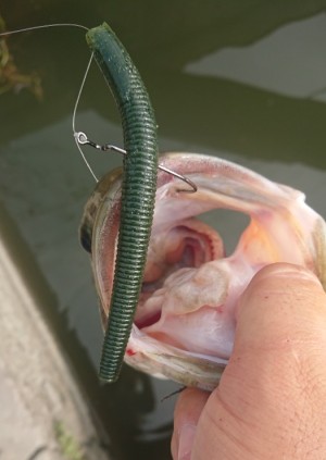 hideup 久次米良信 ブログ写真 2018/08/12