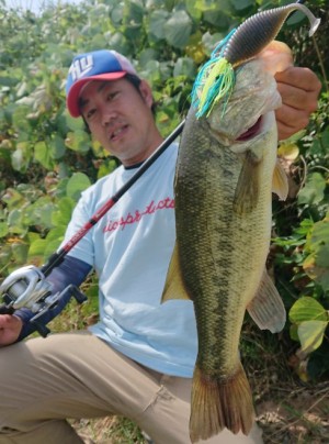 hideup 久次米良信 ブログ写真 2018/08/12