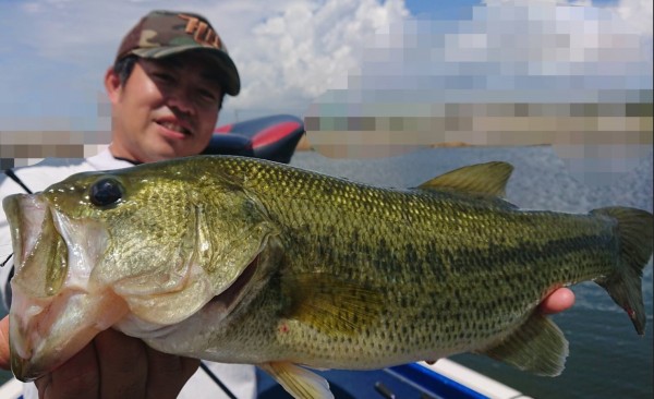 hideup 久次米良信 ブログ写真 2018/08/14