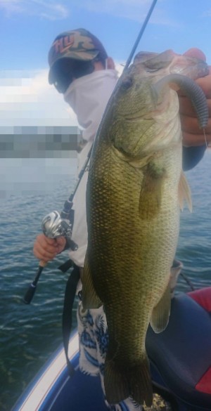 hideup 久次米良信 ブログ写真 2018/08/14