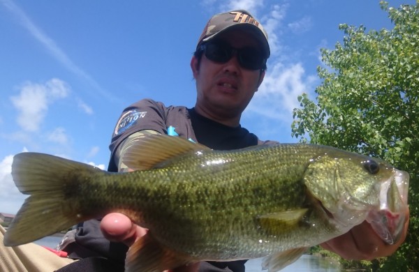 hideup 久次米良信 ブログ写真 2018/08/15