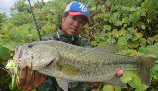 hideup 久次米良信 ブログ写真 2018/08/17