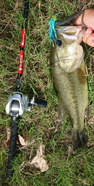 hideup 久次米良信 ブログ写真 2018/08/18