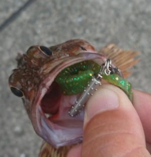 hideup 久次米良信 ブログ写真 2018/08/22