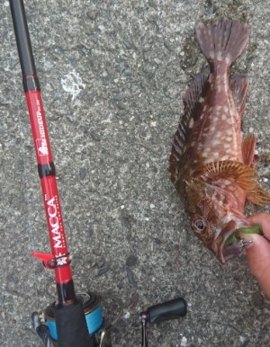 hideup 久次米良信 ブログ写真 2018/08/22