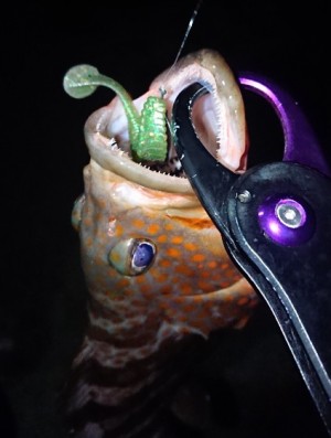 hideup 久次米良信 ブログ写真 2018/09/01